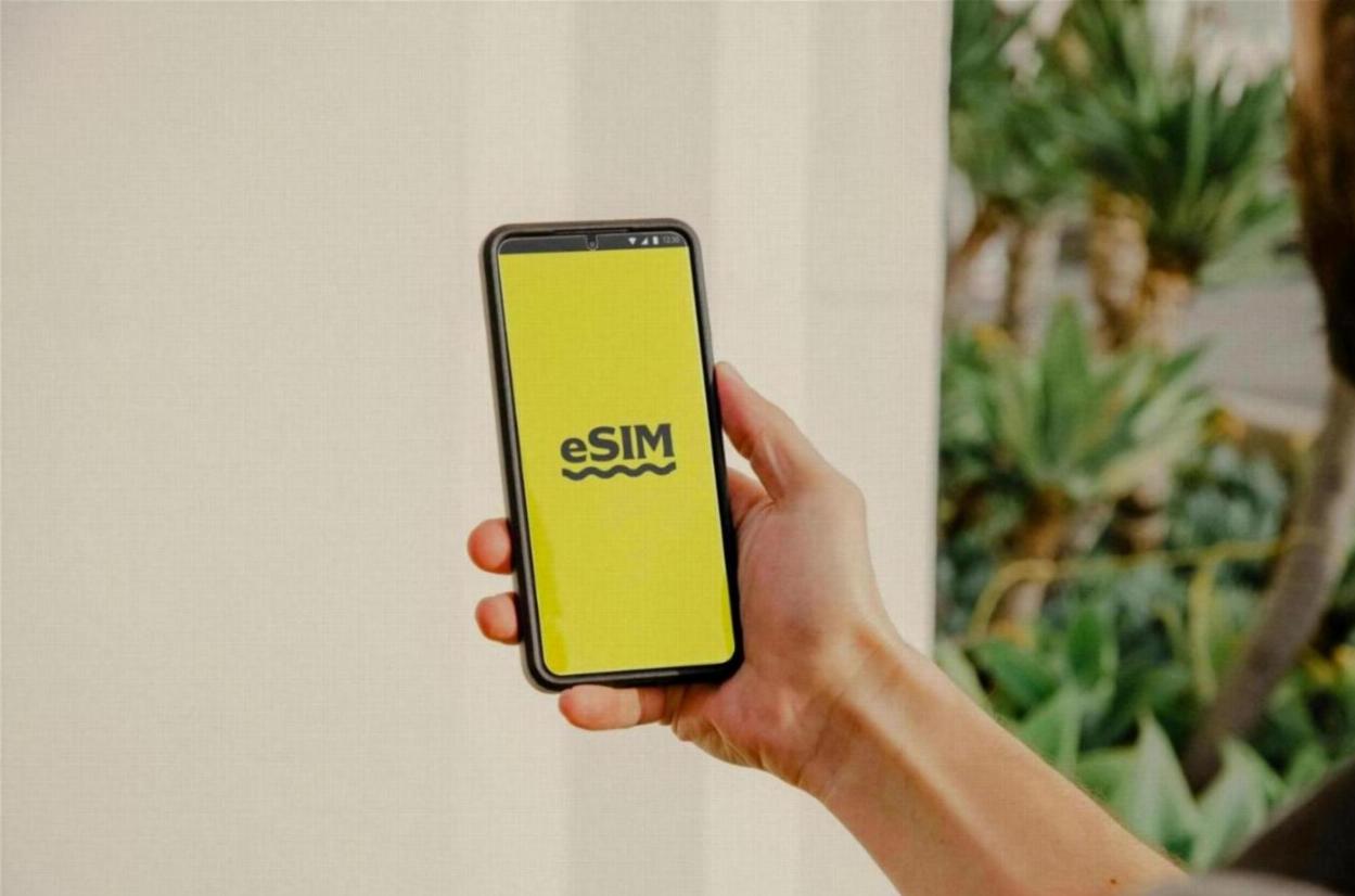 eSIM (For Newer Smartphones)